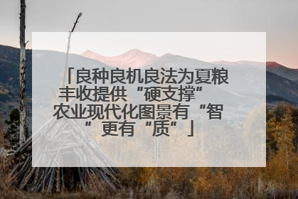 良种良机良法为夏粮丰收提供“硬支撑” 农业现代化图景有“智”更有“质”