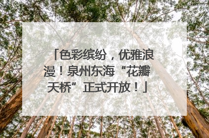 色彩缤纷，优雅浪漫！泉州东海“花瓣天桥”正式开放！