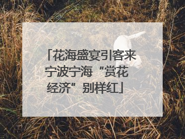 花海盛宴引客来 宁波宁海“赏花经济”别样红