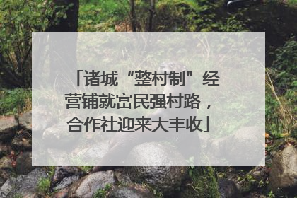 诸城“整村制”经营铺就富民强村路，合作社迎来大丰收
