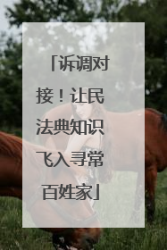 诉调对接！让民法典知识飞入寻常百姓家