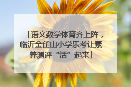语文数学体育齐上阵，临沂金雀山小学乐考让素养测评“活”起来