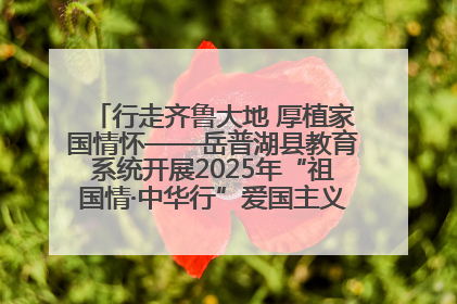 行走齐鲁大地 厚植家国情怀——岳普湖县教育系统开展2025年“祖国情·中华行”爱国主义参观研学活动