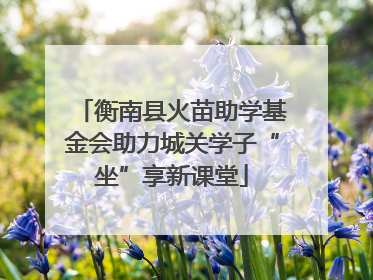 衡南县火苗助学基金会助力城关学子“坐”享新课堂