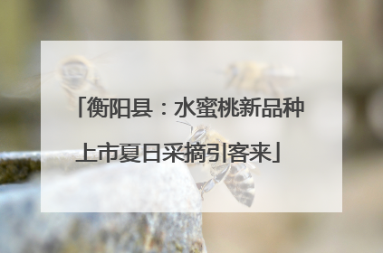 衡阳县：水蜜桃新品种上市夏日采摘引客来