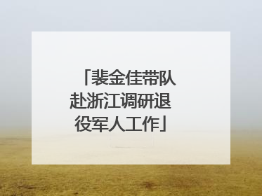 裴金佳带队赴浙江调研退役军人工作
