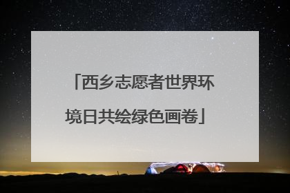 西乡志愿者世界环境日共绘绿色画卷