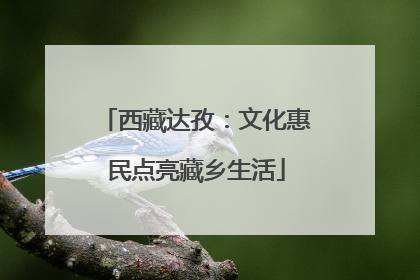 西藏达孜：文化惠民点亮藏乡生活
