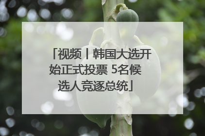 视频丨韩国大选开始正式投票 5名候选人竞逐总统