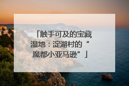 触手可及的宝藏湿地：淀湖村的“魔都小亚马逊”