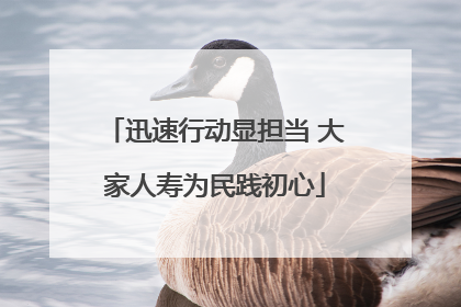 迅速行动显担当 大家人寿为民践初心