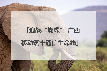 迎战“蝴蝶” 广西移动筑牢通信生命线