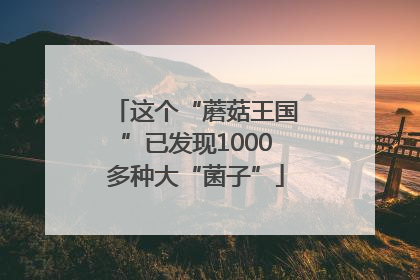 这个“蘑菇王国”已发现1000多种大“菌子”