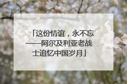 这份情谊，永不忘——阿尔及利亚老战士追忆中国岁月