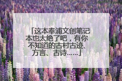 这本奉浦文创笔记本也太绝了吧，有你不知道的古村古迹、方言、古诗……