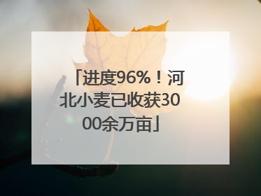 进度96%！河北小麦已收获3000余万亩