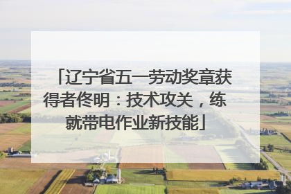 辽宁省五一劳动奖章获得者佟明：技术攻关，练就带电作业新技能