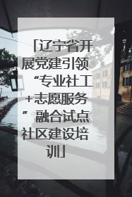 辽宁省开展党建引领“专业社工+志愿服务”融合试点社区建设培训