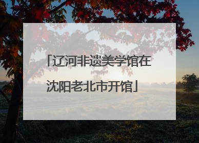 辽河非遗美学馆在沈阳老北市开馆