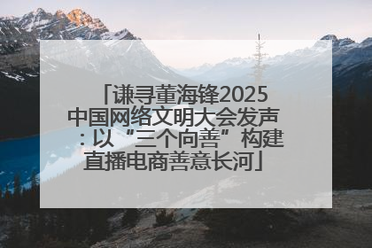 谦寻董海锋2025中国网络文明大会发声：以“三个向善”构建直播电商善意长河