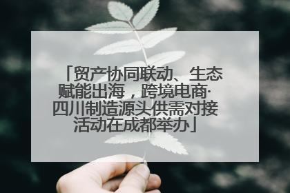 贸产协同联动、生态赋能出海，跨境电商·四川制造源头供需对接活动在成都举办