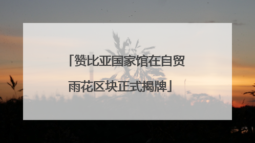 赞比亚国家馆在自贸雨花区块正式揭牌
