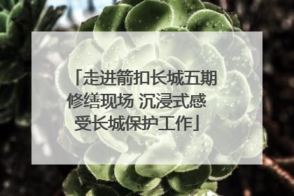 走进箭扣长城五期修缮现场 沉浸式感受长城保护工作