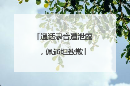通话录音遭泄露，佩通坦致歉