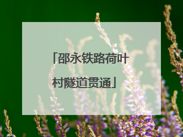 邵永铁路荷叶村隧道贯通