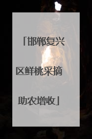 邯郸复兴区鲜桃采摘助农增收