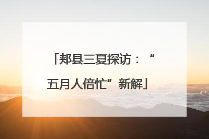 郏县三夏探访：“五月人倍忙”新解