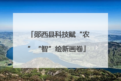 郧西县科技赋“农”“智”绘新画卷