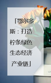 鄂尔多斯：打造柠条绿色生态经济产业链