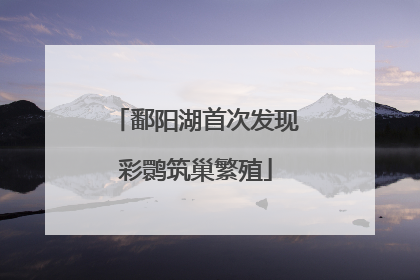鄱阳湖首次发现彩鹮筑巢繁殖