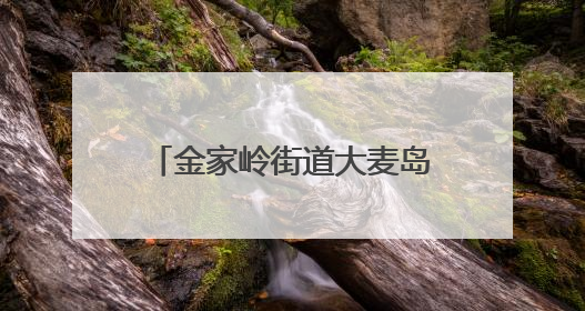 金家岭街道大麦岛、徐家麦岛、王家麦岛社区联合开展端午节主题活动