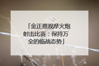 金正恩观摩火炮射击比赛：保持万全的临战态势
