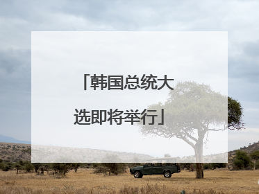 韩国总统大选即将举行