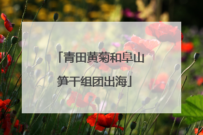 青田黄菊和阜山笋干组团出海