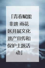 青春赋能非遗 雨花区开展文化遗产宣传和保护主题活动