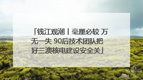 钱江观潮丨毫厘必较 万无一失 90后技术团队把好三澳核电建设安全关