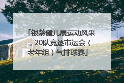银龄健儿展运动风采，20队竞逐市运会（老年组）气排球赛