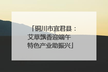 铜川市宜君县：艾草飘香迎端午 特色产业助振兴