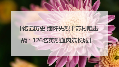 铭记历史 缅怀先烈丨苏村阻击战：126名英烈血肉筑长城