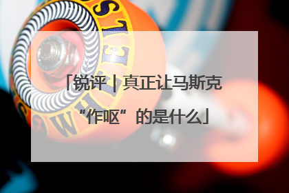 锐评｜真正让马斯克“作呕”的是什么