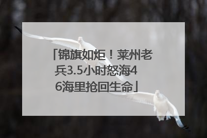 锦旗如炬！莱州老兵3.5小时怒海46海里抢回生命