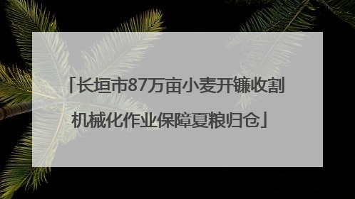长垣市87万亩小麦开镰收割 机械化作业保障夏粮归仓