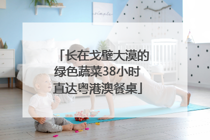 长在戈壁大漠的绿色蔬菜38小时直达粤港澳餐桌