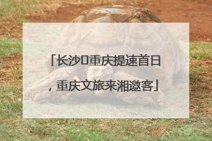 长沙⇌重庆提速首日，重庆文旅来湘邀客
