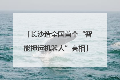 长沙造全国首个“智能押运机器人”亮相