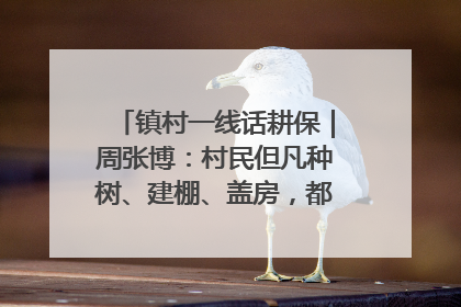 镇村一线话耕保｜周张博：村民但凡种树、建棚、盖房，都要向街道报批